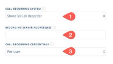 Per-user call recording setup
