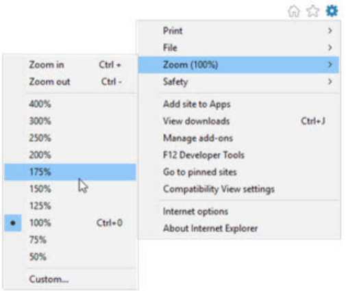 Internet Explorer zoom settings