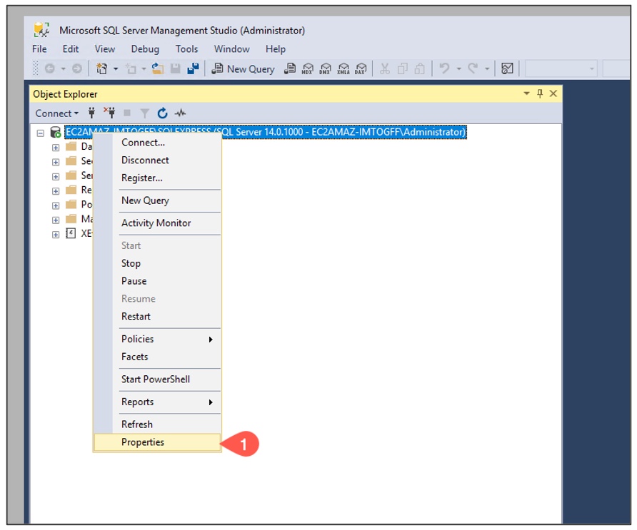 SQL Server properties