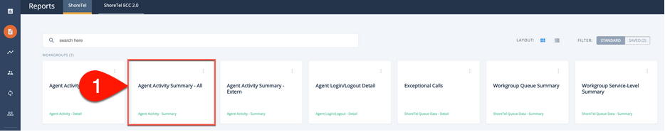 Agent Activity Summary All report template